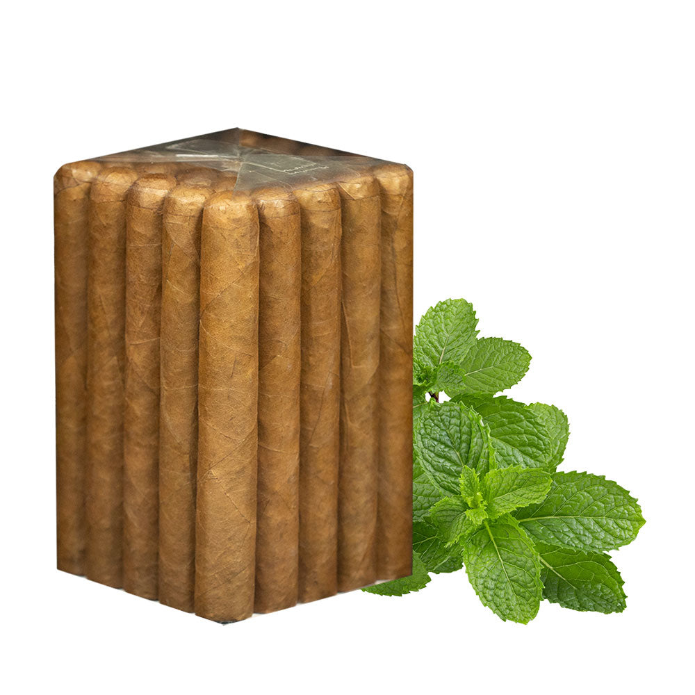 Menthe Toro – Infusée – 6×52
