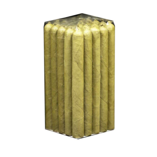 Coronita Candela – 6½x42