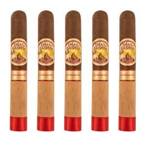 Dias de Gloria Robusto par AJ Fernández