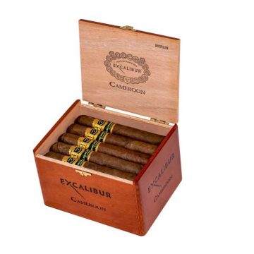Hoyo de Monterrey Excalibur Cameroon Merlin – 5¼x50