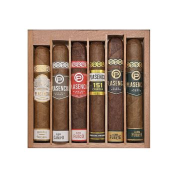 Collection Plasencia Robusto – Boîte de 6
