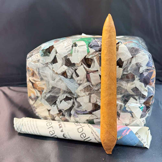 Salomon Super Premium Connecticut Newspaper – 7⅛x58